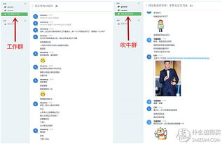 原創新人省小錢辦大事 群暉DS216 II網絡存儲NAS服務器搭建數據中心靠譜嗎？